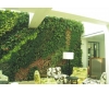 你知道长沙仿真植物墙在室内空间绿化中的优势有哪些吗？