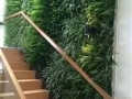 湖南植物墙该怎么选择植物品种呢？