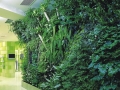 湖南生态植物墙的价格是多少你知道吗？