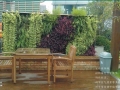 长沙办公室植物墙该怎么维护，你知道吗？