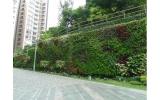 植物墙让校园充满绿景，建设生态学院---湖南绿植墙