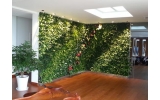 办公室植物墙，原木和绿植构建的天然办公空间-湖南立体绿化