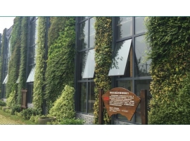建筑外墙景观，大厦通道垂直绿化景观-长沙植物墙