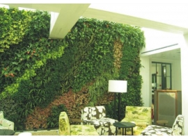 你知道长沙仿真植物墙在室内空间绿化中的优势有哪些吗？