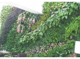 你知道湖南植物墙在城市里的作用是什么吗？
