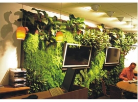 湖南办公室植物墙通风居然这么重要！