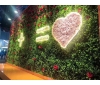 湖南绿植墙：绿色生态与装饰艺术的完 美结合