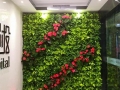 植物墙怎样才能更加美观呢？