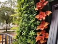 湖南绿植墙：与墙面相结合的装饰方式
