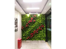 植物墙怎样才能更加美观呢？